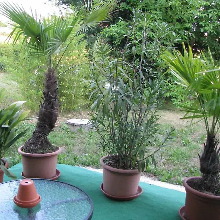 Hisa Marjetica * מריבור