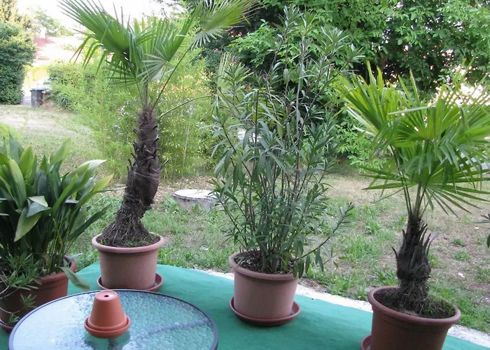 Hisa Marjetica * מריבור